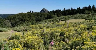Flore faune et forêt en Vallée du Pradal
