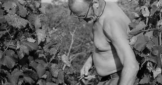 Domaine de Gouye