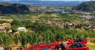 Domaine de Gouye