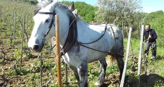 Domaine de Gouye