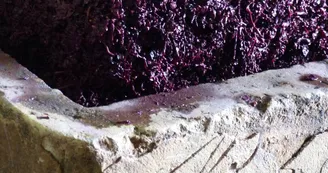 Domaine de Gouye