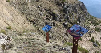 Les coulées basaltiques