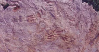 Sur les traces des premiers dinosaures Sur les traces des premiers dinosaures