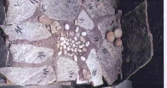 Sur les traces des premiers dinosaures Sur les traces des premiers dinosaures