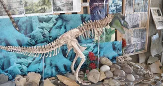 Sur les traces des premiers dinosaures Sur les traces des premiers dinosaures