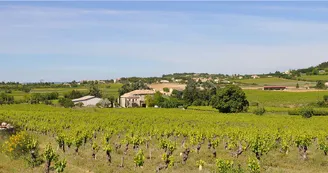 Scea Domaine du Chapitre