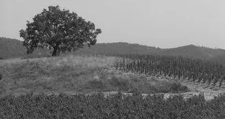 GAEC des Vigneaux GAEC des Vigneaux