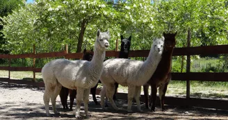 Parc animalier de Lussas Parc animalier de Lussas