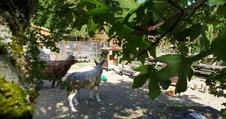 Parc animalier de Lussas Parc animalier de Lussas