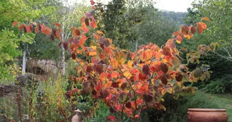 Jardin Paysager la Terre Pimprenelle Jardin Paysager la Terre Pimprenelle
