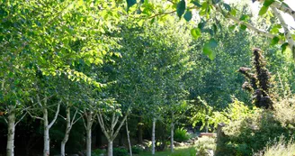 Jardin Paysager la Terre Pimprenelle Jardin Paysager la Terre Pimprenelle