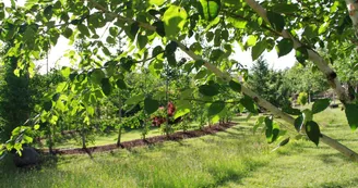 Jardin Paysager la Terre Pimprenelle Jardin Paysager la Terre Pimprenelle