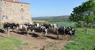 Ferme de Réat Ferme de Réat