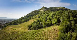 Domaine Rémy Nodin - La Beylesse