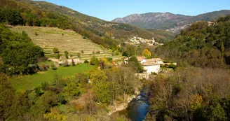 Les terrasses Les terrasses