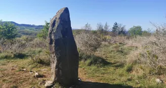 Dolmens et menhirs Dolmens et menhirs