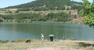Le volcan de la Laoune