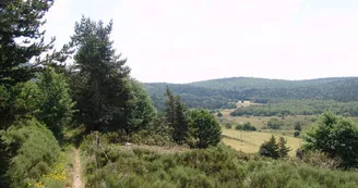 Suc du Chapelas