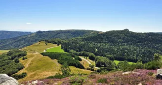 Suc de Montivernoux
