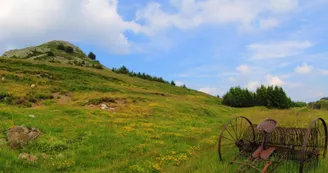 Suc de Montivernoux