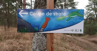 Géosite du Bois du Four Géosite du Bois du Four