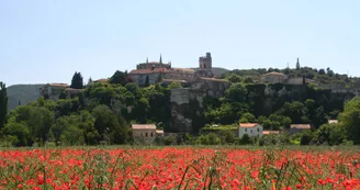 Office de Tourisme Gorges de l'Ardèche - Pont d'Arc - Bureau de Viviers