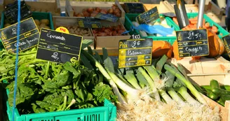 Marché au pied du Coiron