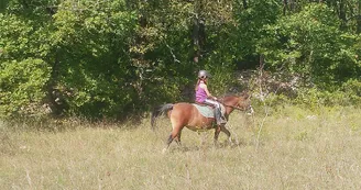 Promenade équestre à poney ou à cheval - Centre équestre Les Combes
