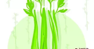 Marché de producteurs et artisans locaux