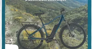 Location longue durée de Vélo à Assistance Electrique