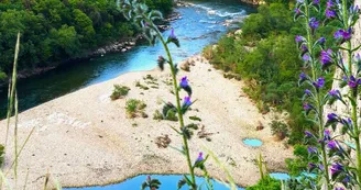Canoë - Kayak de Chames à St Martin d'Ardèche - 24 km / 1 jour avec Rivière et Nature