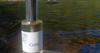 Gabriel Polère - Artisan parfumeur Gabriel Polère - Artisan parfumeur