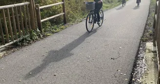 Location de vélos "Beach cruisers" à la journée - Balazuc Loisirs
