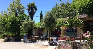 Location de vélos "Beach cruisers" à la journée - Balazuc Loisirs