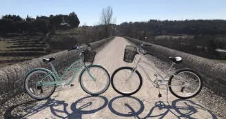 Location de vélos "Beach cruisers" à la journée - Balazuc Loisirs