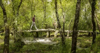Pont mégalithique