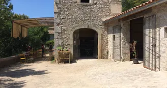 Distillerie du Bois de Païolive "Flor'Ardèche" Distillerie du Bois de Païolive "Flor'Ardèche"