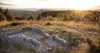 Dolmen du Ranc de Guilhaumet ( Tombeau du géant )