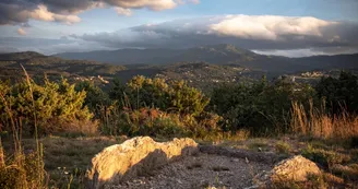 Dolmen du Ranc de Guilhaumet ( Tombeau du géant )