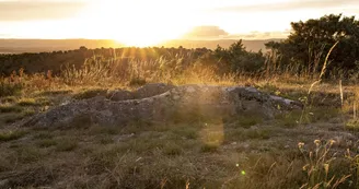 Dolmen du Ranc de Guilhaumet ( Tombeau du géant )