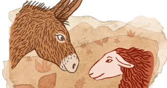 Ferme La Brebis Heureuse