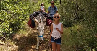 Randonner en itinérance avec un âne dans les Gorges de l'Ardèche