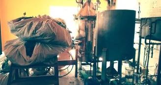 Visites de la distillerie Visites de la distillerie