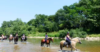 Randonnées équestres avec le Centre des Combes