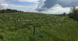 Le domaine des Bardes Le domaine des Bardes