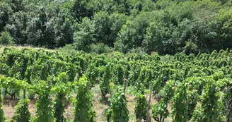 Le domaine des Bardes Le domaine des Bardes