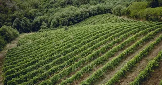 Le domaine des Bardes Le domaine des Bardes
