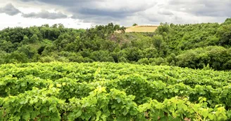 Le domaine des Bardes Le domaine des Bardes