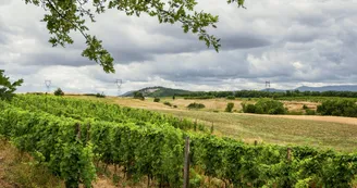 Le domaine des Bardes Le domaine des Bardes