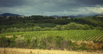 Le domaine des Bardes Le domaine des Bardes